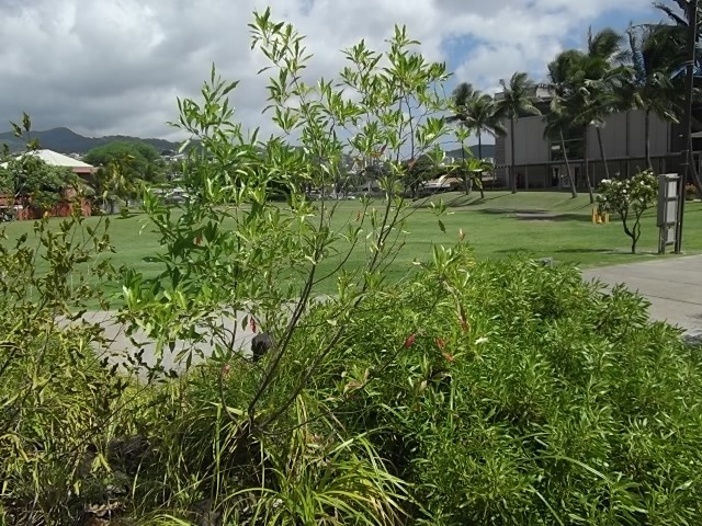 f:id:shinok30:20210407154200j:plain