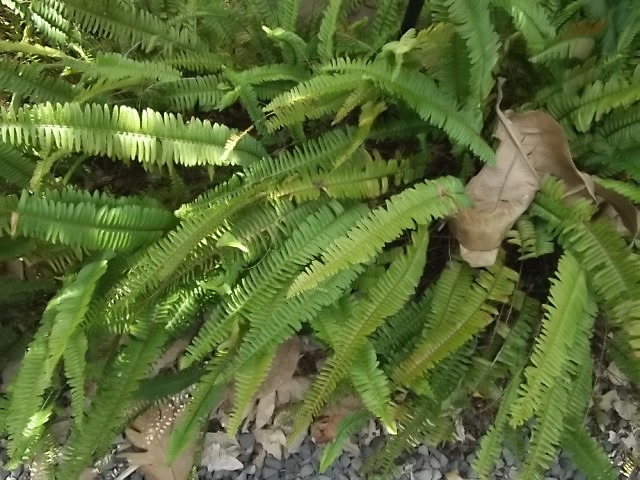 f:id:shinok30:20210407154205j:plain