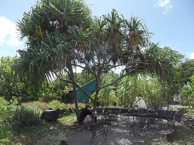 f:id:shinok30:20210407180200j:plain