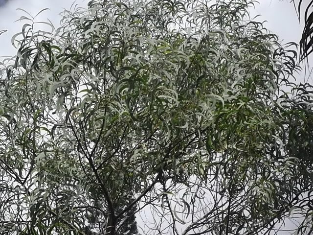 f:id:shinok30:20210407185229j:plain