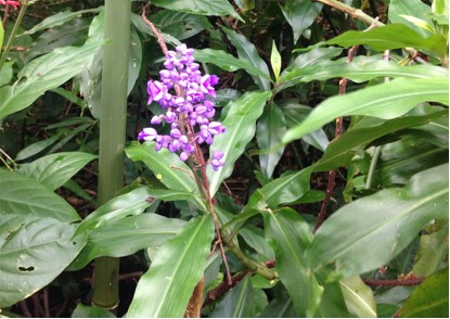 f:id:shinok30:20210407190644j:plain