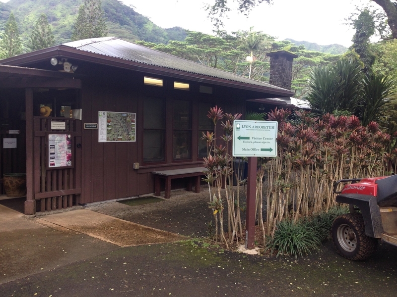 f:id:shinok30:20210411141557j:plain