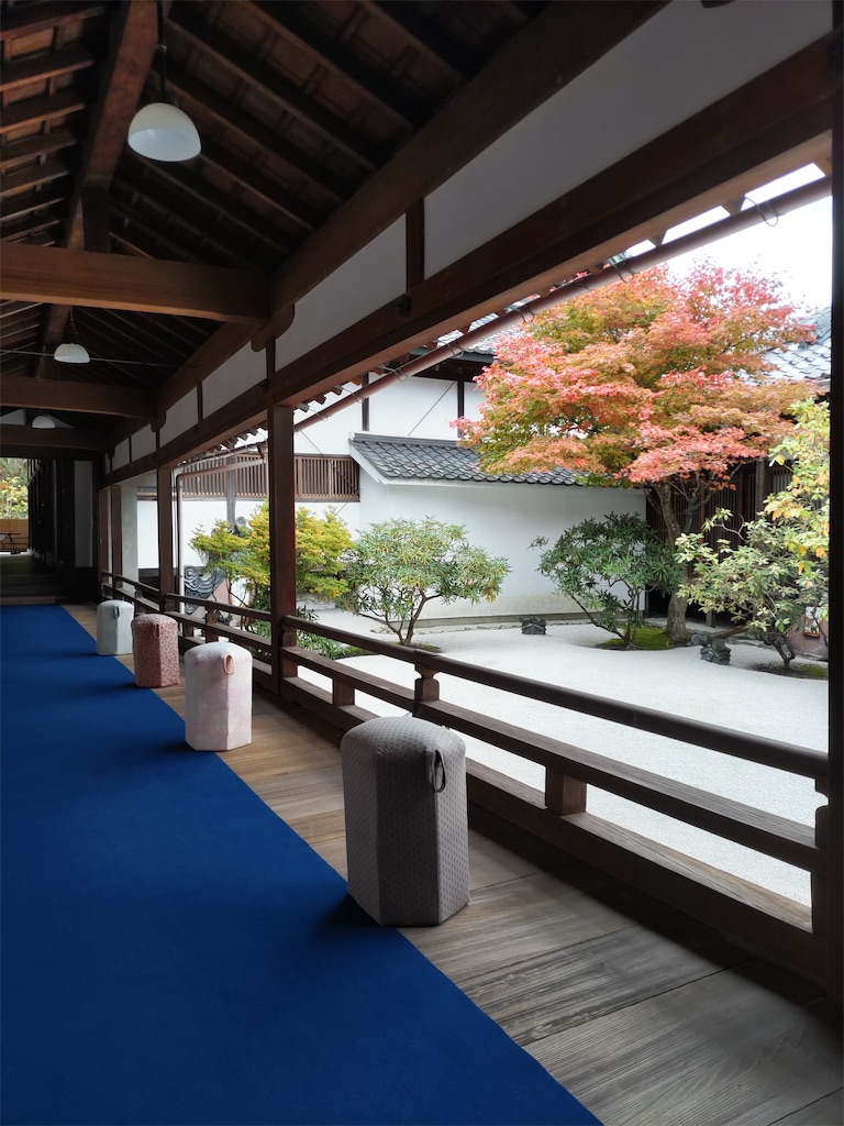 f:id:shinokud:20251114203137j:image