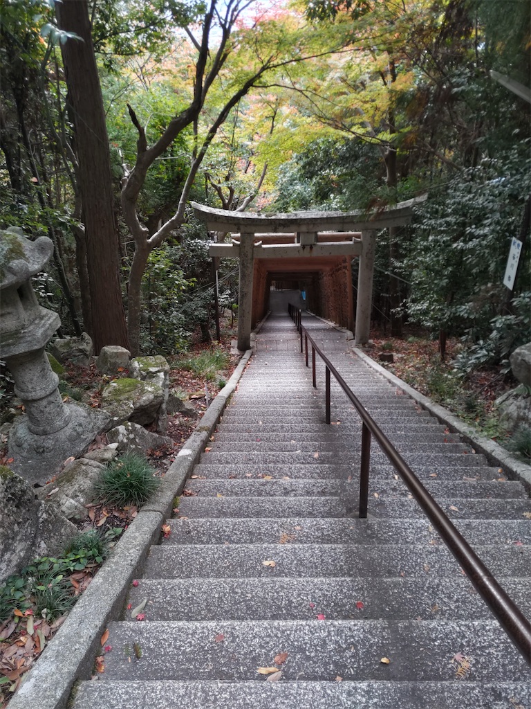 f:id:shinokud:20251114210751j:image