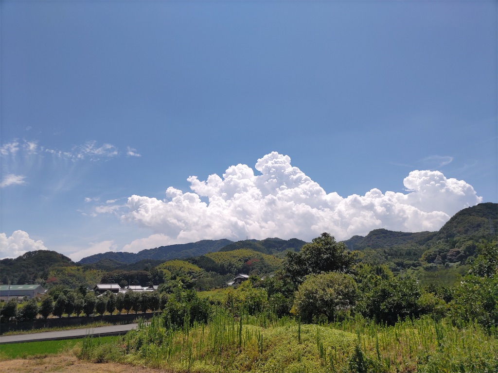 f:id:shinokud:20260808202152j:image f:id:shinokud:20260808202152j:image