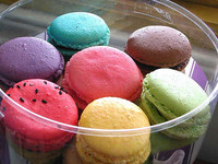 f:id:shinomai:20080306180750j:image:left f:id:shinomai:20080306180750j:image:left