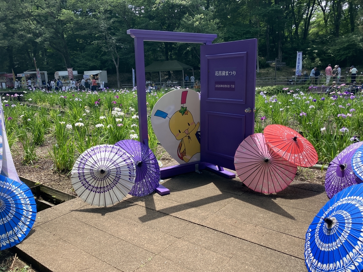 智光山公園の花菖蒲まつり