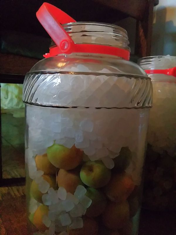 f:id:shinonomen:20190619185227j:plain f:id:shinonomen:20190619185227j:plain