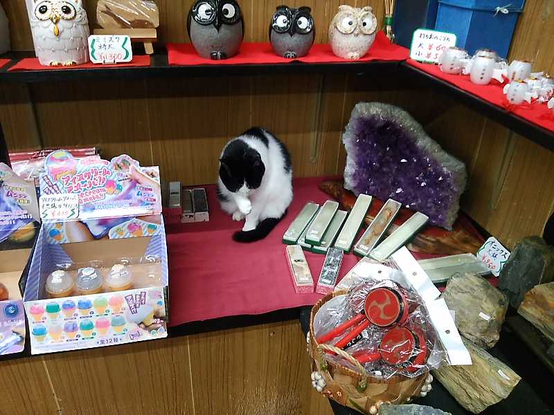 f:id:shinonomen:20191011180145j:plain f:id:shinonomen:20191011180145j:plain