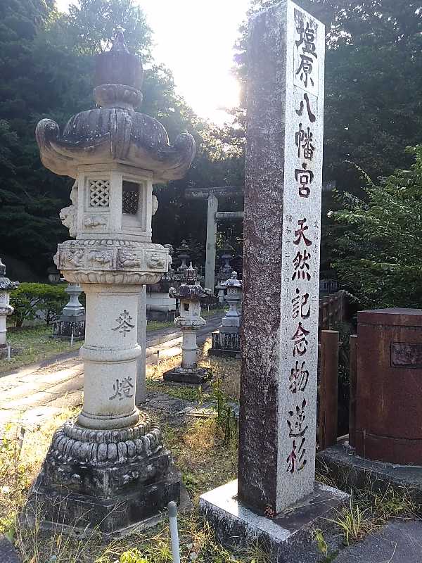 f:id:shinonomen:20191011180214j:plain f:id:shinonomen:20191011180214j:plain