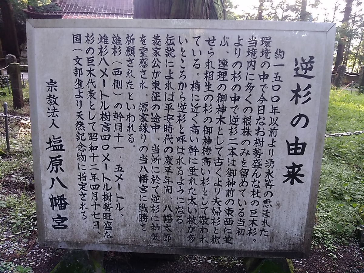 f:id:shinonomen:20191011180358j:plain f:id:shinonomen:20191011180358j:plain