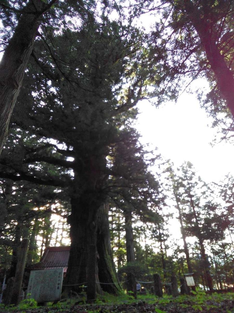 f:id:shinonomen:20191011180432j:plain f:id:shinonomen:20191011180432j:plain