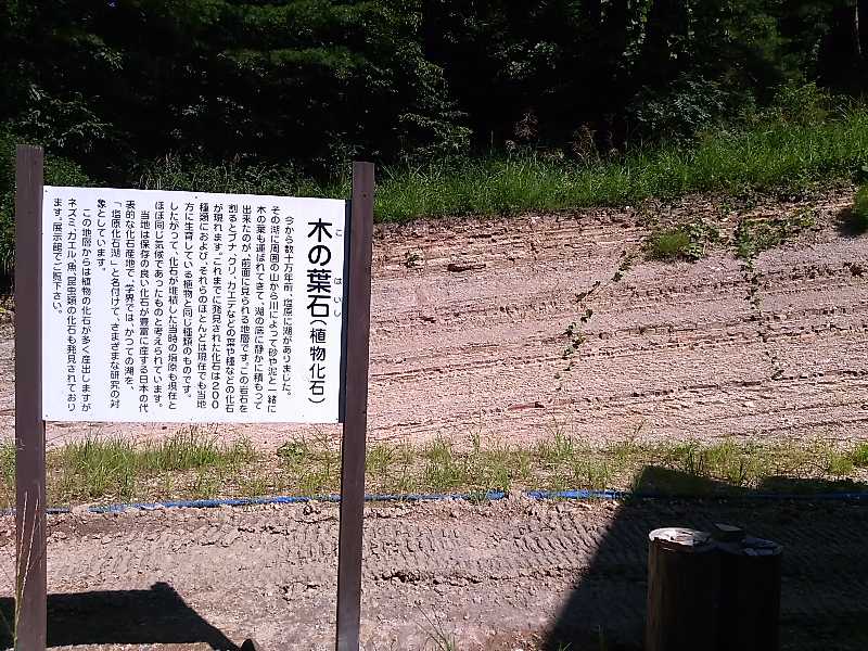 f:id:shinonomen:20191011180615j:plain f:id:shinonomen:20191011180615j:plain