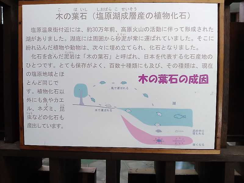 f:id:shinonomen:20191011180627j:plain f:id:shinonomen:20191011180627j:plain