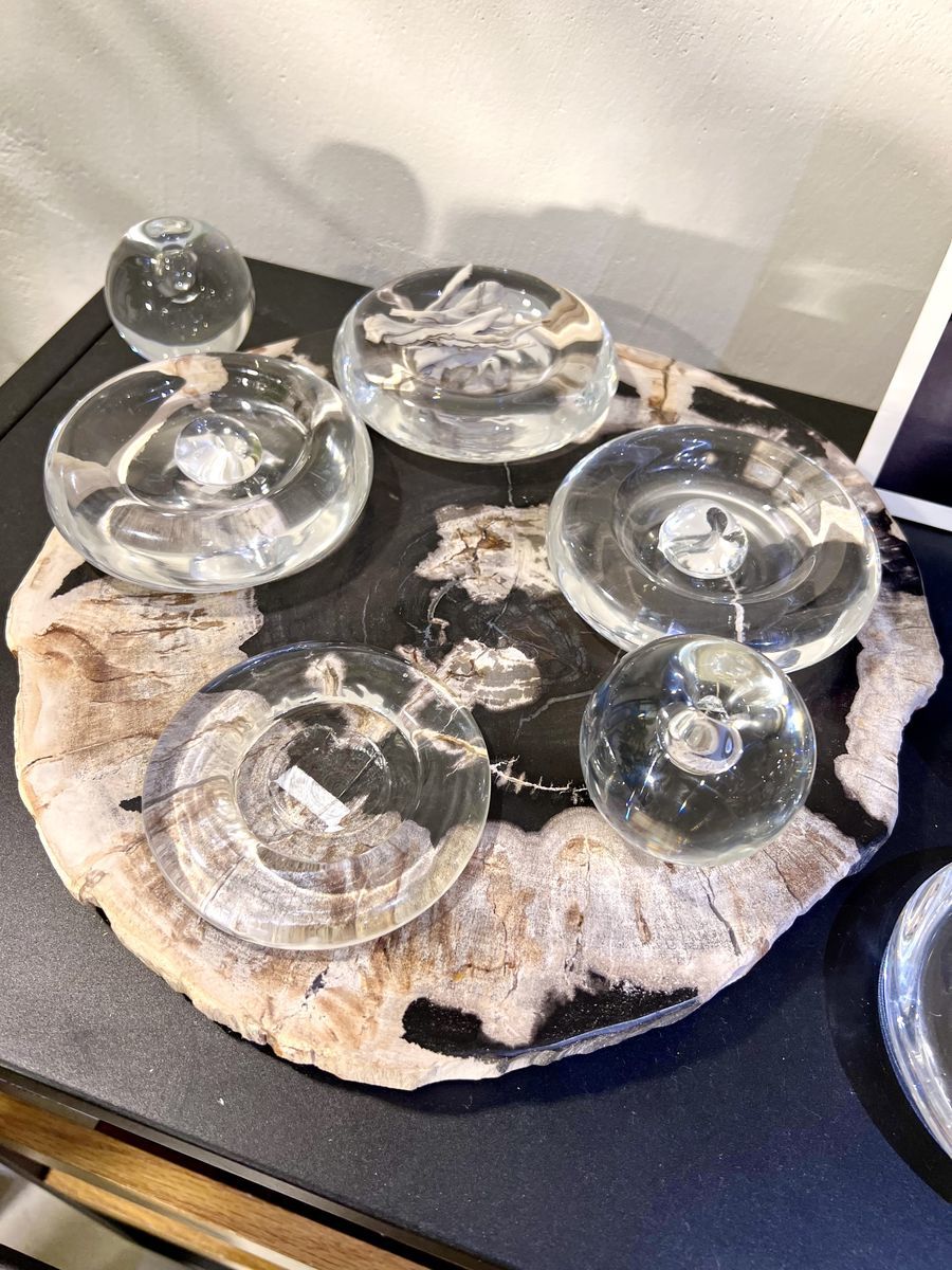 珪化木 フォッシルプレート 3 ペトリファイドウッド インテリア 珪化木 フォッシルプレート 3 ペトリファイドウッド インテリア