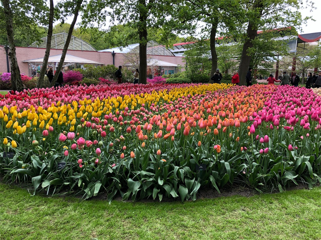 f:id:shinousa:20190627184441j:image f:id:shinousa:20190627184441j:image