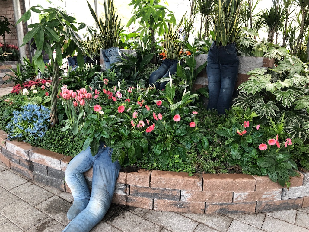 f:id:shinousa:20190627184526j:image f:id:shinousa:20190627184526j:image