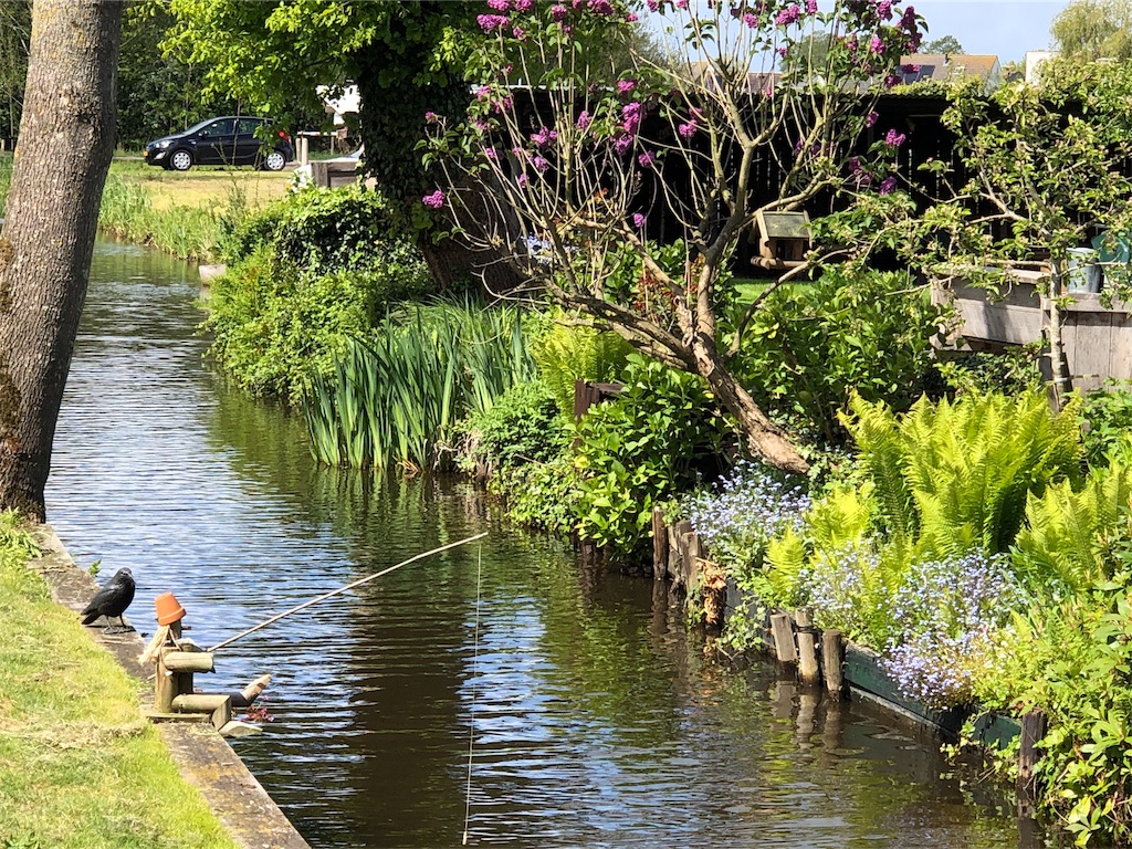 f:id:shinousa:20190629192408j:image f:id:shinousa:20190629192408j:image