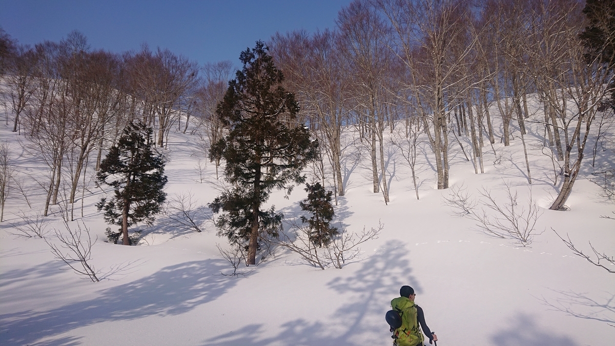 f:id:shinozake:20200427193458j:plain f:id:shinozake:20200427193458j:plain