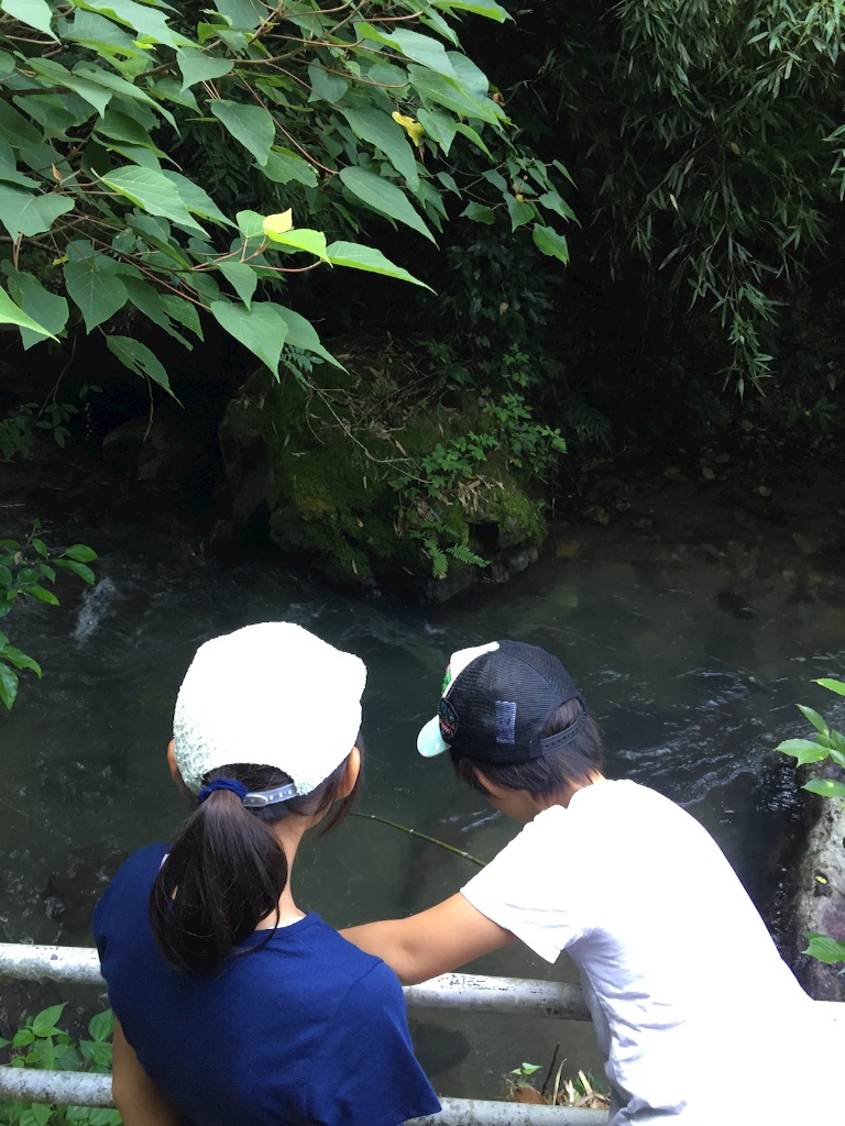 f:id:shinpeikondo:20160811195733j:image f:id:shinpeikondo:20160811195733j:image