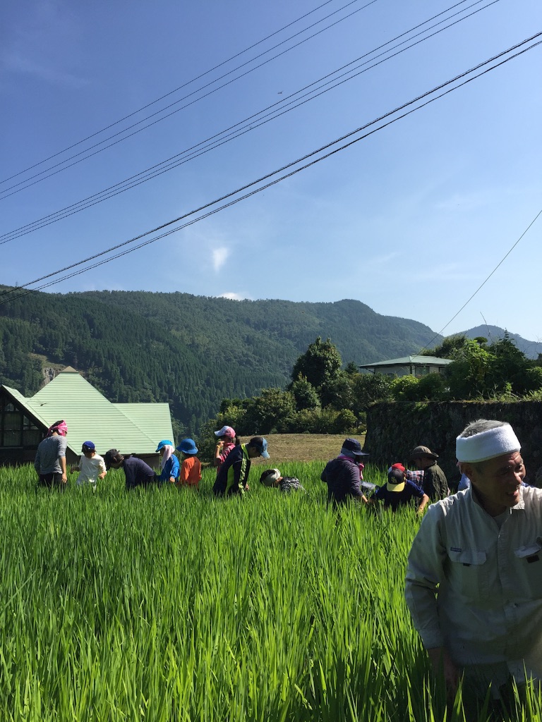 f:id:shinpeikondo:20160811201137j:image f:id:shinpeikondo:20160811201137j:image