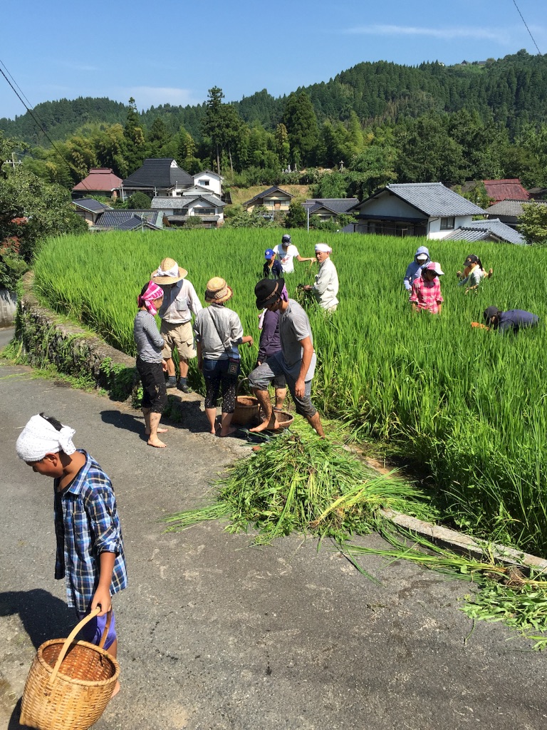f:id:shinpeikondo:20160811201645j:image f:id:shinpeikondo:20160811201645j:image