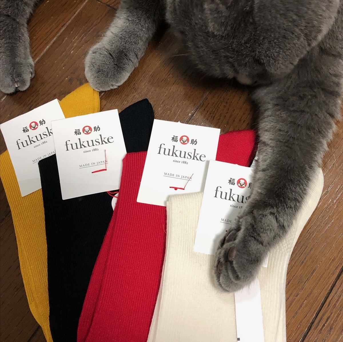 f:id:shinpon:20190328223450j:plain f:id:shinpon:20190328223450j:plain