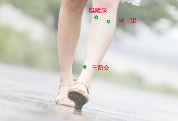 f:id:shinqkuma:20180607171726j:plain f:id:shinqkuma:20180607171726j:plain