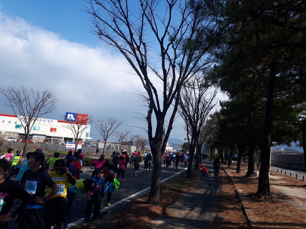 f:id:shinrei4505:20190217113327j:plain f:id:shinrei4505:20190217113327j:plain
