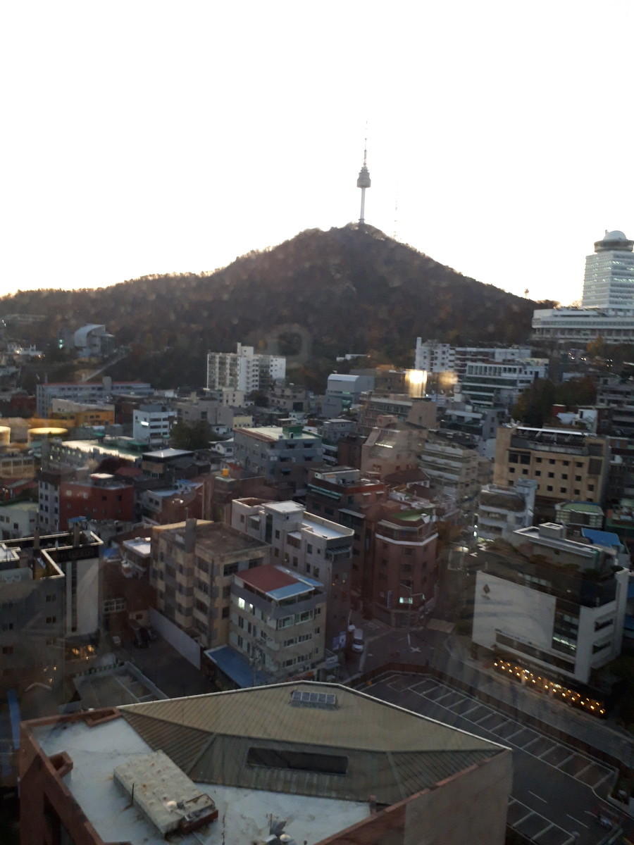 f:id:shinrei4505:20191121070832j:plain f:id:shinrei4505:20191121070832j:plain