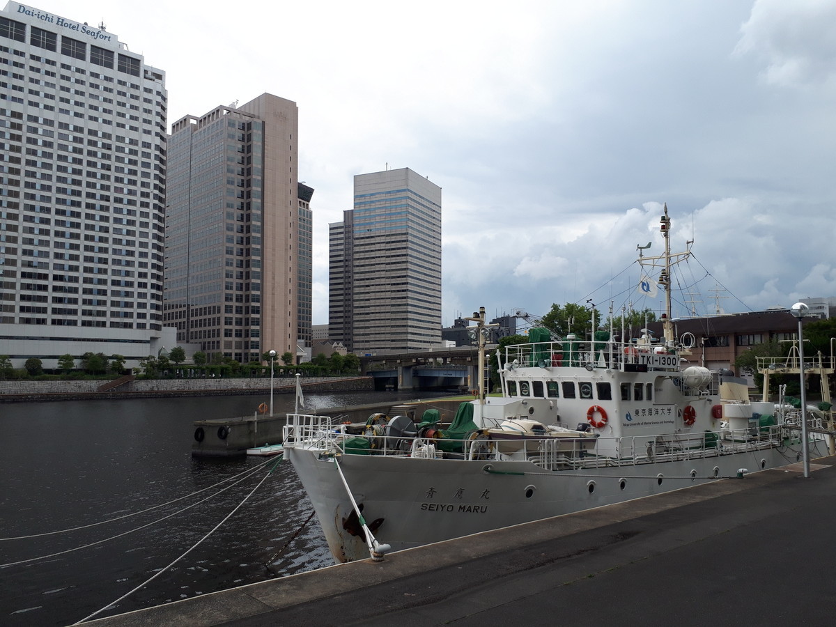 f:id:shinrei4505:20200531133931j:plain f:id:shinrei4505:20200531133931j:plain