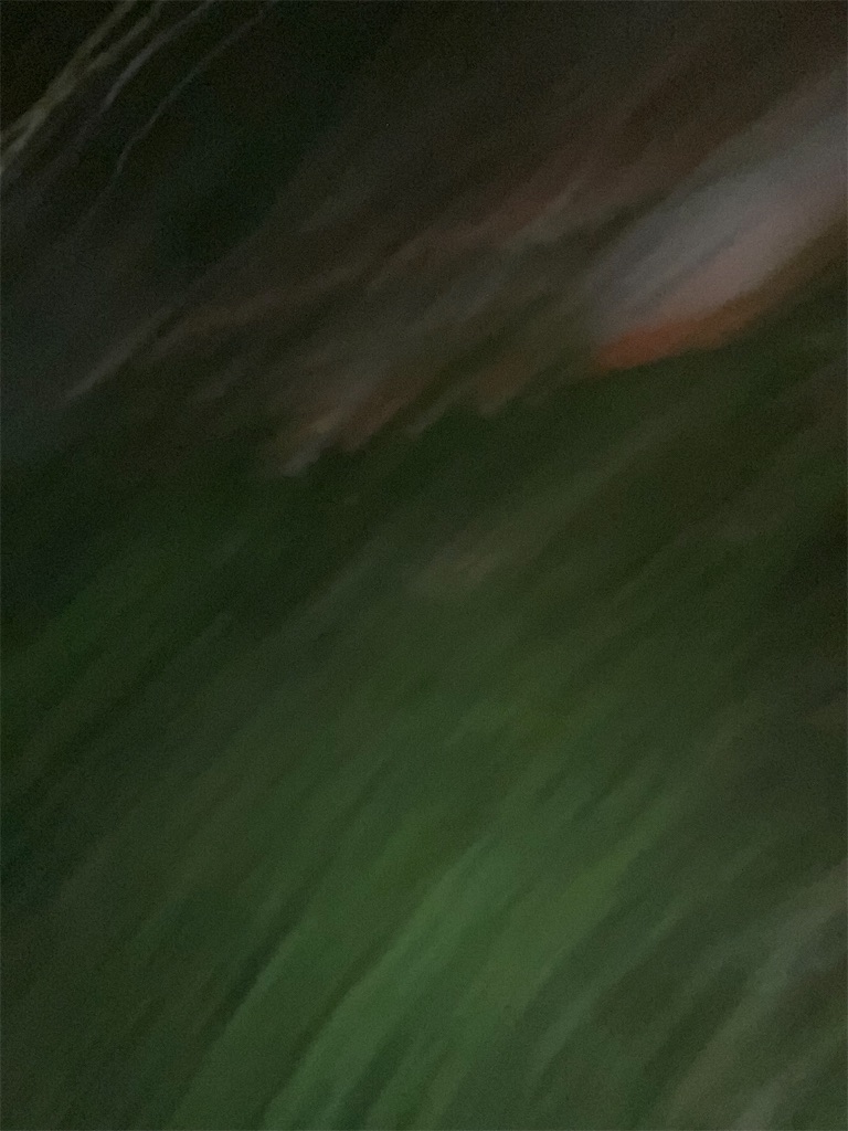 f:id:shinreiHG:20240128224445j:image