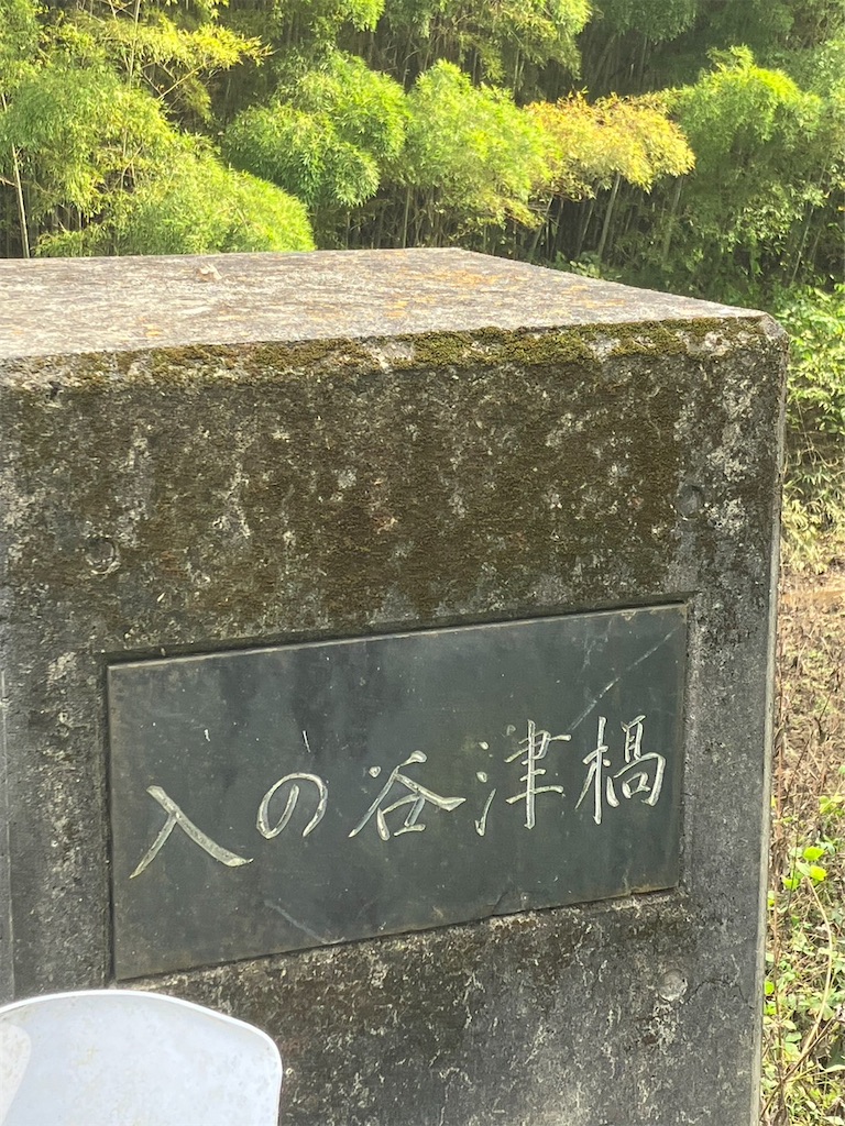 f:id:shinreiHG:20240129230321j:image