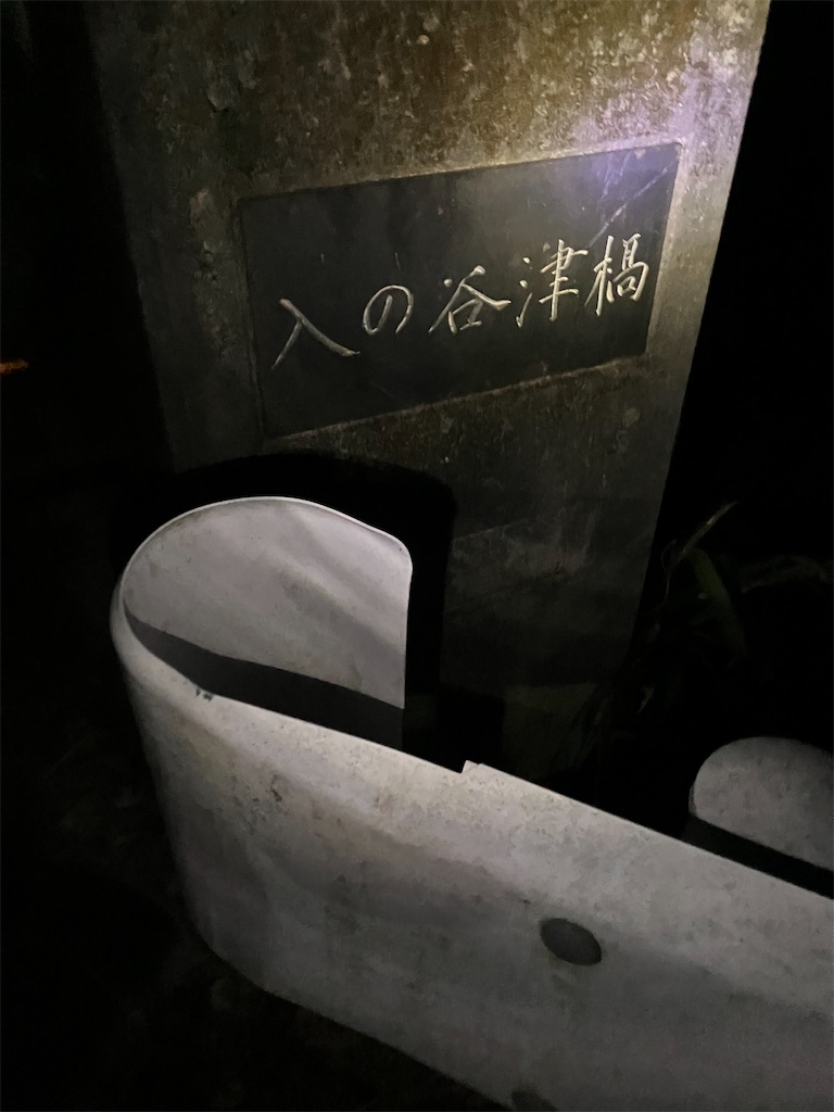 f:id:shinreiHG:20240129230503j:image
