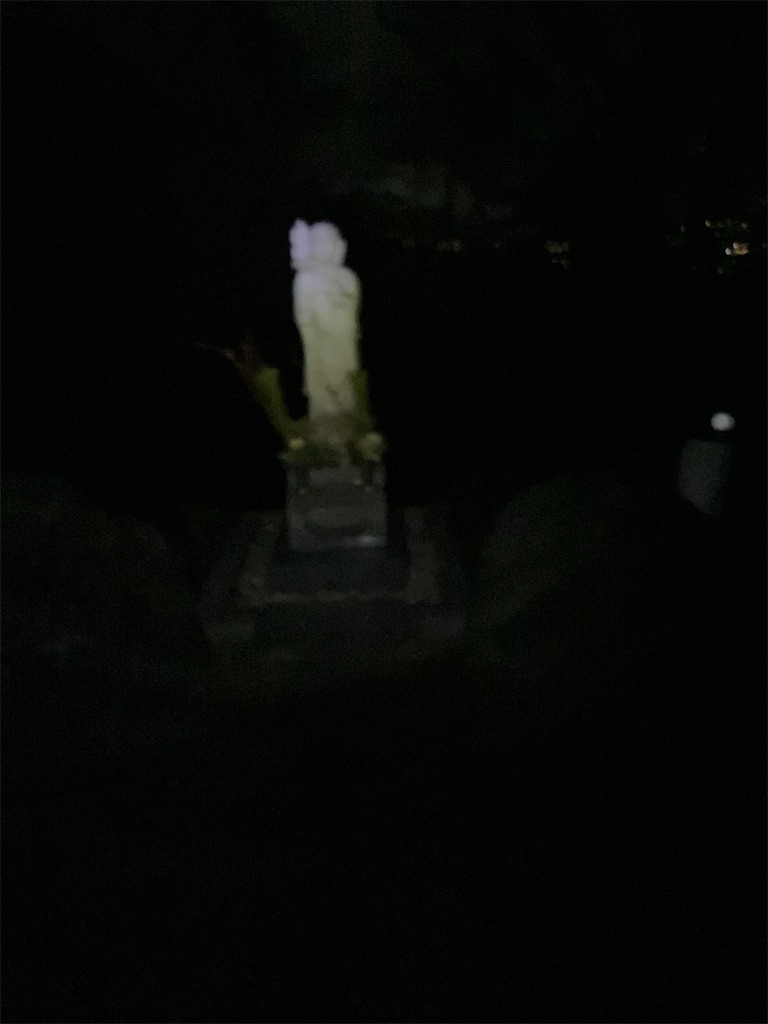 f:id:shinreiHG:20240129231030j:image