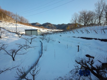 車庫づくり２ 単管パイプ 雪でつぶれたので シンリンポンのブログ