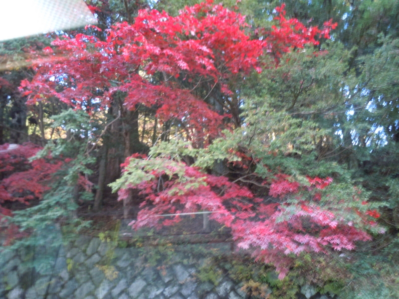 f:id:shins2m:20111120155234j:image