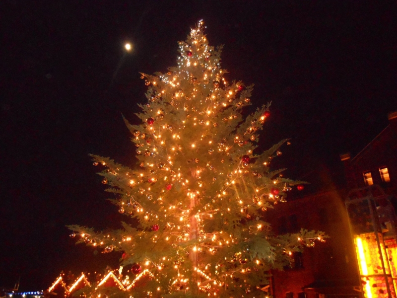 f:id:shins2m:20111207174443j:image