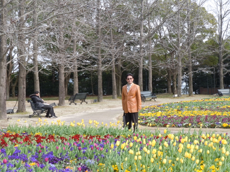 f:id:shins2m:20120320155746j:image