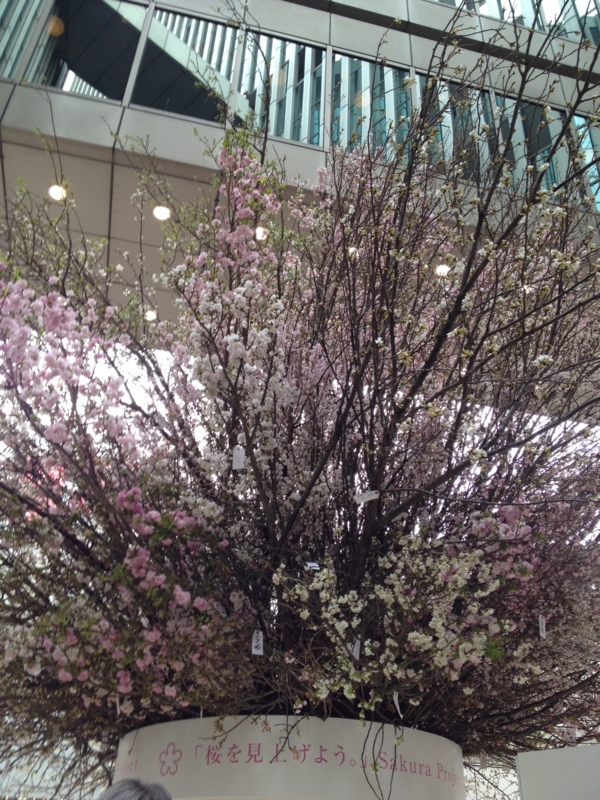 f:id:shins2m:20120322125136j:image