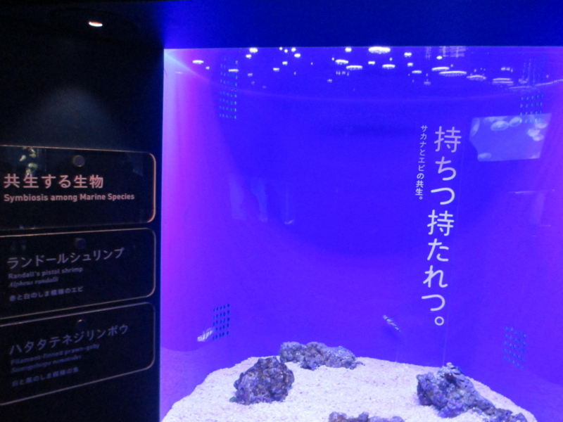 f:id:shins2m:20120607183141j:image