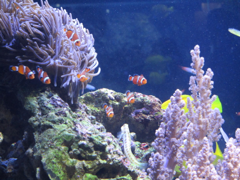 f:id:shins2m:20120607184550j:image