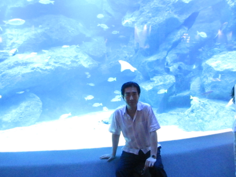f:id:shins2m:20120607190740j:image