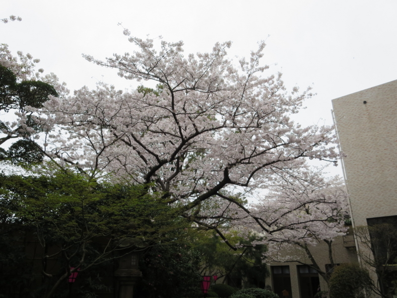 f:id:shins2m:20140331120504j:image f:id:shins2m:20140331120504j:image