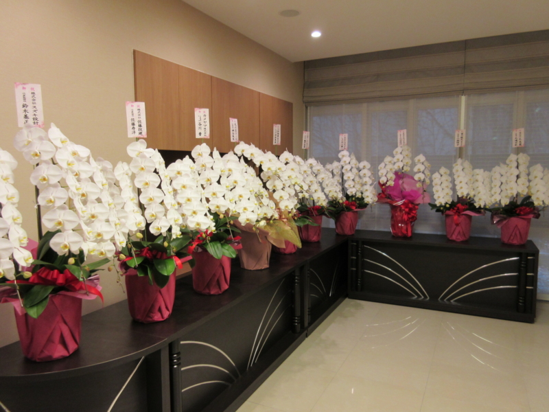 f:id:shins2m:20141108105606j:image