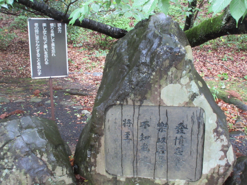 f:id:shins2m:20150512111906j:image f:id:shins2m:20150512111906j:image