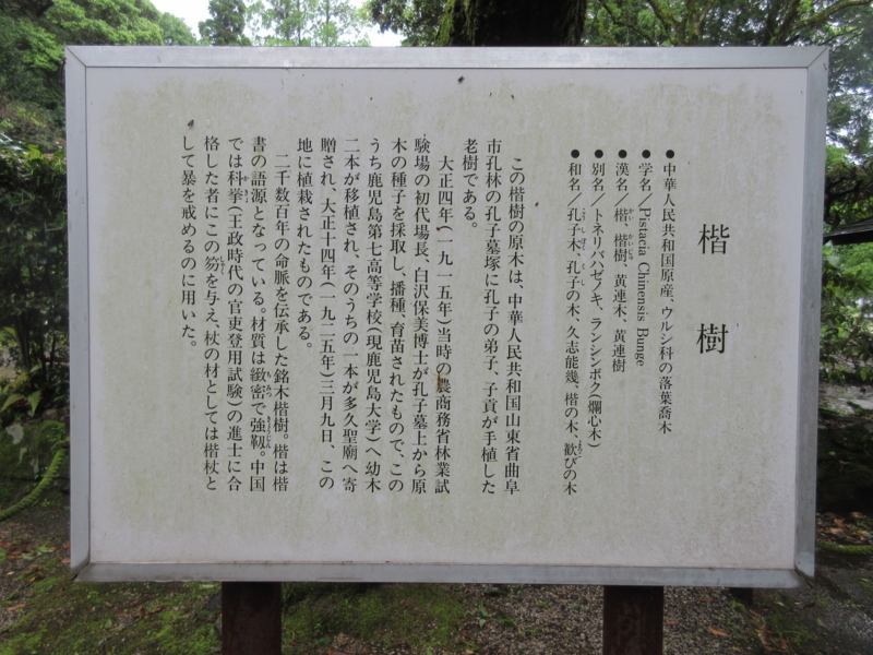 f:id:shins2m:20150512112914j:image f:id:shins2m:20150512112914j:image