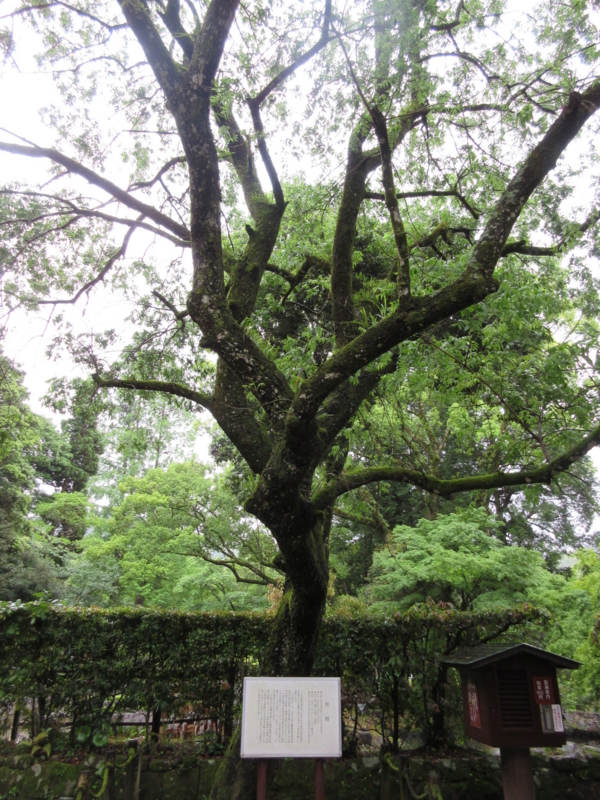 f:id:shins2m:20150512112923j:image f:id:shins2m:20150512112923j:image