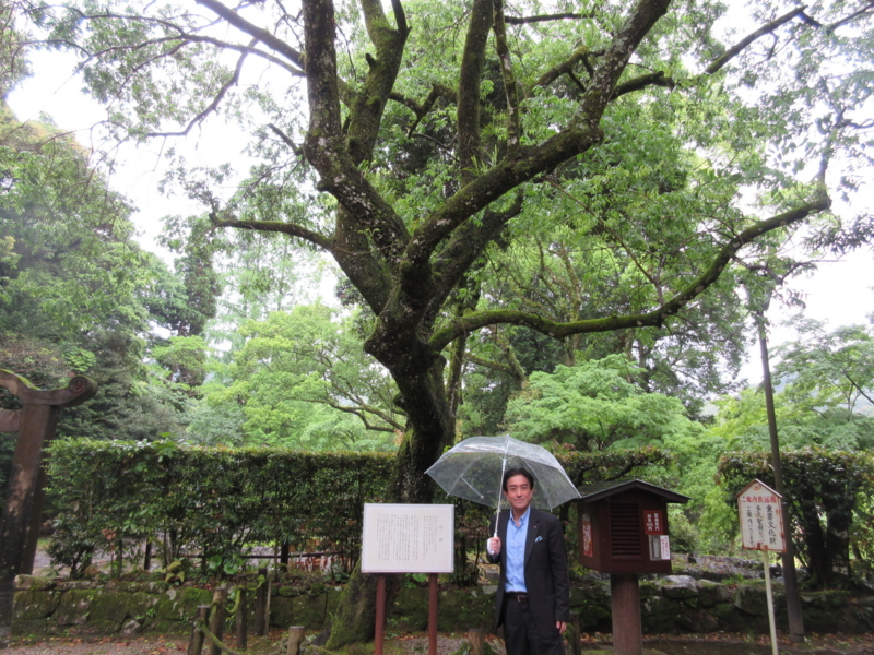 f:id:shins2m:20150512113007j:image f:id:shins2m:20150512113007j:image