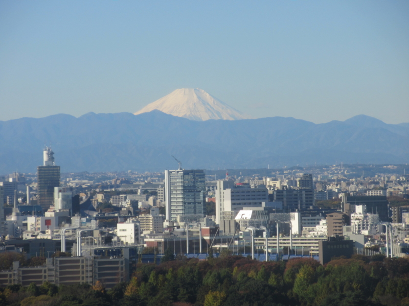 f:id:shins2m:20151127093939j:image f:id:shins2m:20151127093939j:image